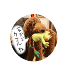 はなまる家族専用（個別スタンプ：39）
