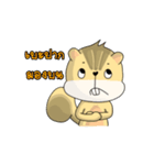 Po : The Little Squirrel（個別スタンプ：16）