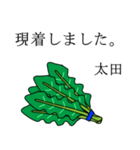 太田のビジネスほうれん草（個別スタンプ：4）