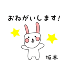 坂本用 シロウサけいたん（個別スタンプ：5）