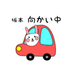 坂本用 シロウサけいたん（個別スタンプ：18）