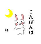 林用 シロウサけいたん（個別スタンプ：3）