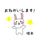 橋本用 シロウサけいたん（個別スタンプ：5）