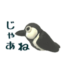 野鳥の粘土を使った日常会話スタンプ（個別スタンプ：32）