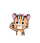 Leopard Cat sister - the daily（個別スタンプ：6）