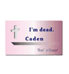 名刺風日常会話『Caden』専用（個別スタンプ：19）