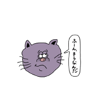 表情豊かな顔だけ猫さん（個別スタンプ：10）