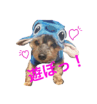 犬ウサギ（個別スタンプ：5）