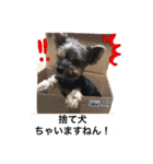 犬ウサギ（個別スタンプ：7）