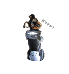 犬ウサギ（個別スタンプ：8）