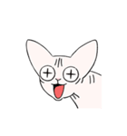 Sphynx cat Noticat！（個別スタンプ：1）