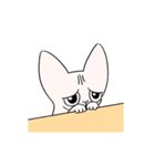 Sphynx cat Noticat！（個別スタンプ：5）