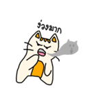 "Feow faow" Salary cat（個別スタンプ：16）