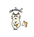 "Feow faow" Salary cat（個別スタンプ：33）