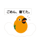 ねむねむメキシコインコ（個別スタンプ：4）