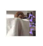 くっきー 知久ver（個別スタンプ：4）