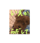 くっきー 知久ver（個別スタンプ：7）