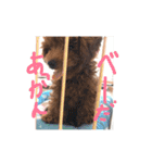 くっきー 知久ver（個別スタンプ：14）