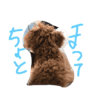 くっきー 知久ver（個別スタンプ：23）
