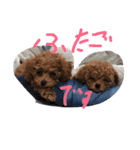 くっきー 知久ver（個別スタンプ：24）