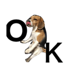 我が家の犬物語（個別スタンプ：11）