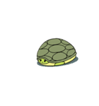 Greenie, The Green Turtle（個別スタンプ：4）