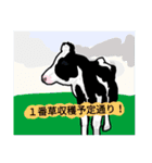 酪農に使える牛さんスタンプ（個別スタンプ：32）