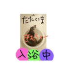 姉弟の一言（個別スタンプ：1）