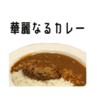 実写！カレーライス（個別スタンプ：1）