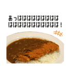 実写！カレーライス（個別スタンプ：5）