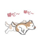 Husky Fendi 3（個別スタンプ：13）