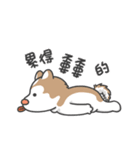 Husky Fendi 3（個別スタンプ：16）