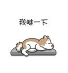 Husky Fendi 3（個別スタンプ：21）