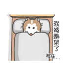 Husky Fendi 3（個別スタンプ：23）