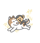 Husky Fendi 3（個別スタンプ：34）