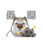 Husky Fendi 3（個別スタンプ：35）