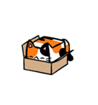 Cubecats（個別スタンプ：9）