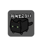 Cubecats（個別スタンプ：18）