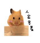 kiwi hamster's Channel（個別スタンプ：2）