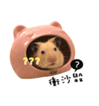 kiwi hamster's Channel（個別スタンプ：4）