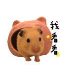 kiwi hamster's Channel（個別スタンプ：11）