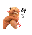 kiwi hamster's Channel（個別スタンプ：14）