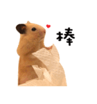 kiwi hamster's Channel（個別スタンプ：28）