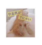 子猫のうにといくら（個別スタンプ：9）