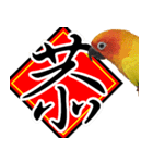 Sun Conure couple, Happy New Year！（個別スタンプ：5）