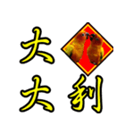 Sun Conure couple, Happy New Year！（個別スタンプ：10）