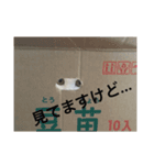 おかしすぎる猫（個別スタンプ：2）