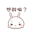 Rabbit RaRa（個別スタンプ：1）