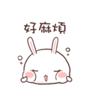 Rabbit RaRa（個別スタンプ：24）