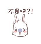 Rabbit RaRa（個別スタンプ：28）